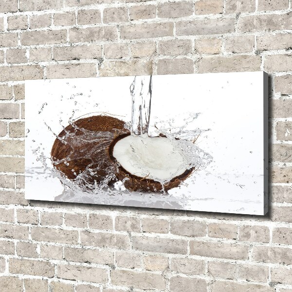 Quadro stampa su tela Noce di cocco
