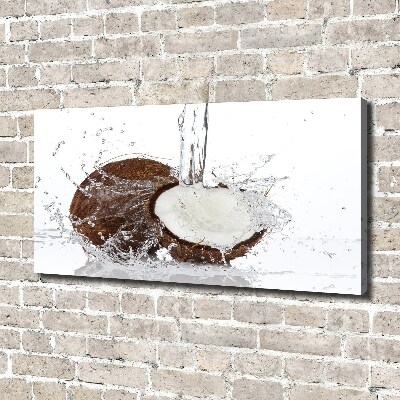 Quadro stampa su tela Noce di cocco