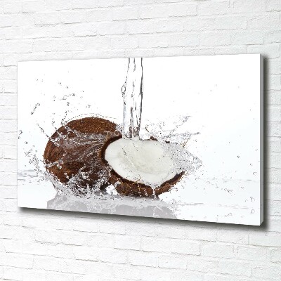 Quadro stampa su tela Noce di cocco