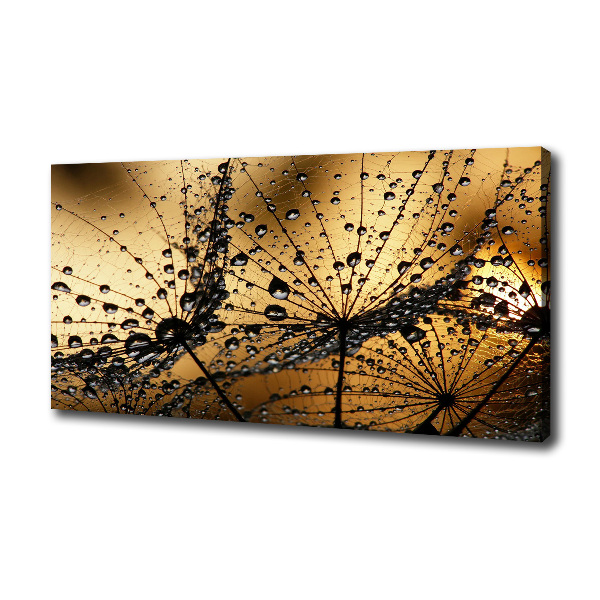 Quadro stampa su tela Semi di tarassaco