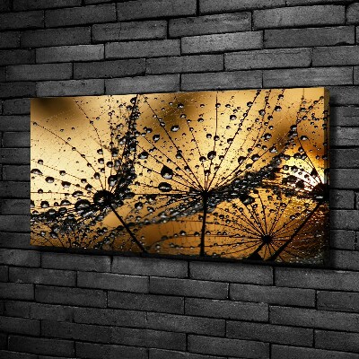 Quadro stampa su tela Semi di tarassaco