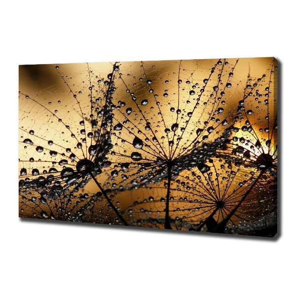 Quadro stampa su tela Semi di tarassaco