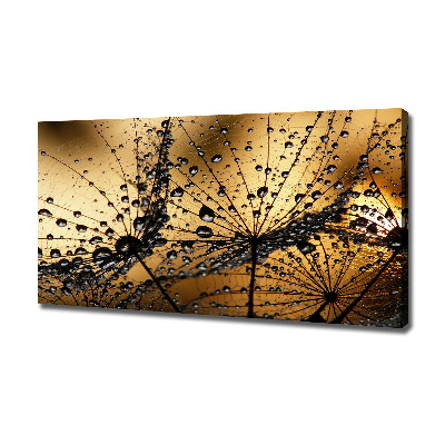 Quadro stampa su tela Semi di tarassaco