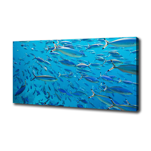 Quadro su tela Pesce corallo
