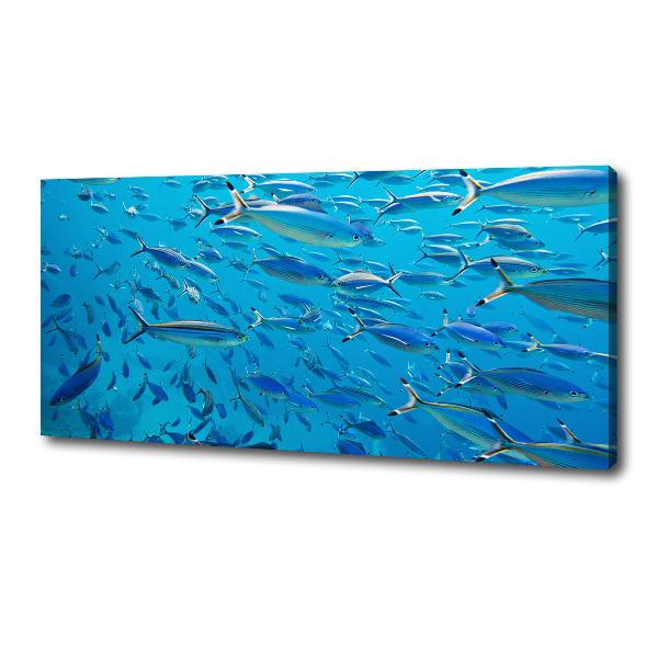 Quadro su tela Pesce corallo