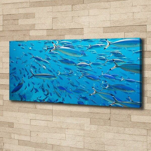 Quadro su tela Pesce corallo