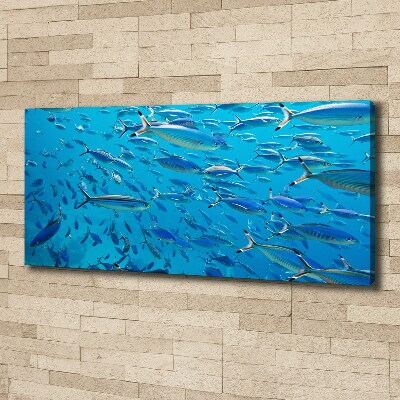 Quadro su tela Pesce corallo