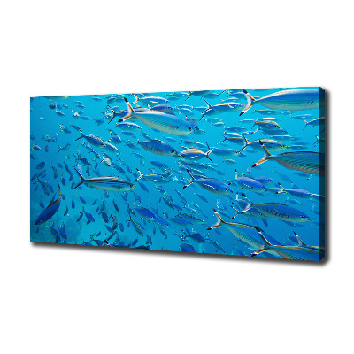 Quadro su tela Pesce corallo