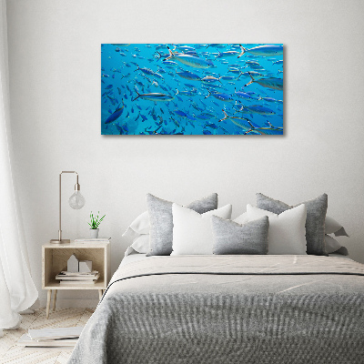 Quadro su tela Pesce corallo