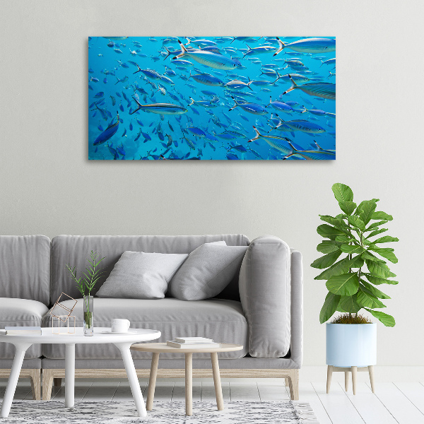 Quadro su tela Pesce corallo