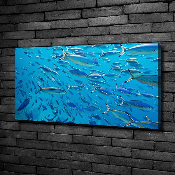 Quadro su tela Pesce corallo