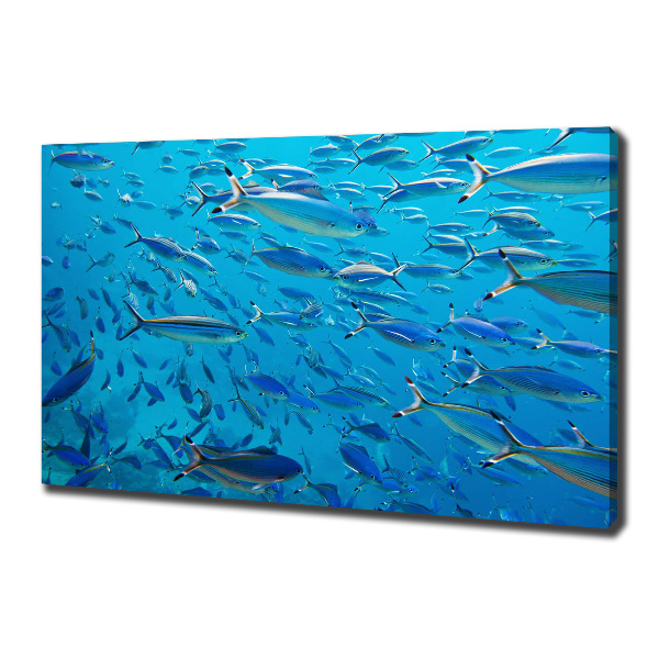 Quadro su tela Pesce corallo