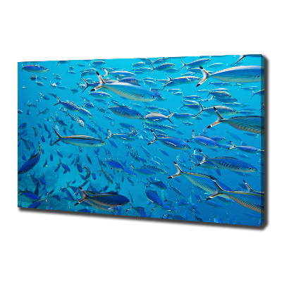 Quadro su tela Pesce corallo