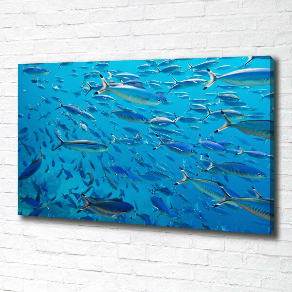 Quadro su tela Pesce corallo