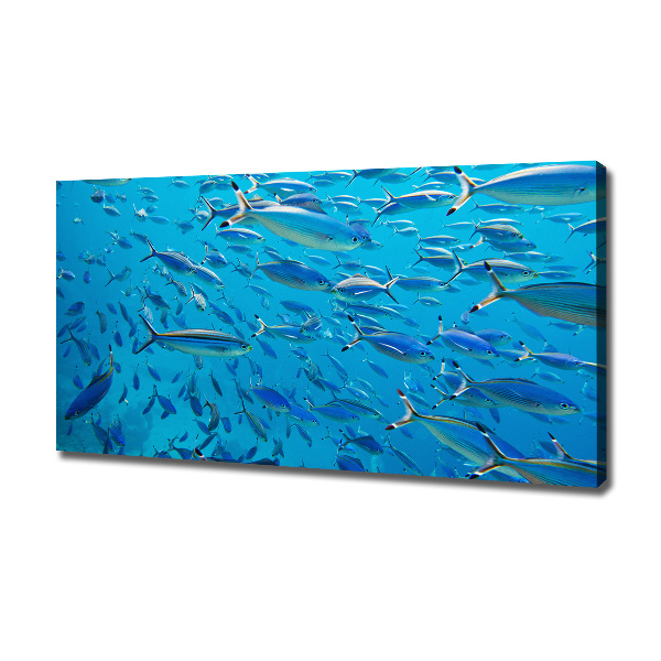 Quadro su tela Pesce corallo