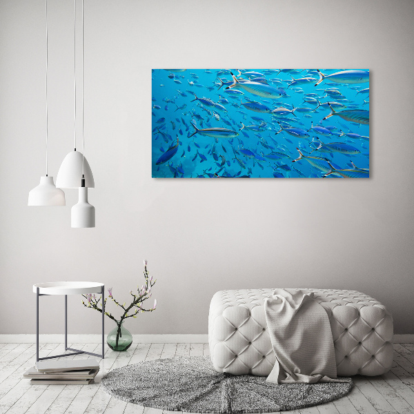 Quadro su tela Pesce corallo