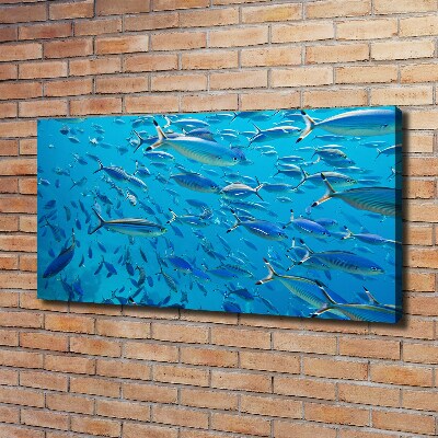 Quadro su tela Pesce corallo