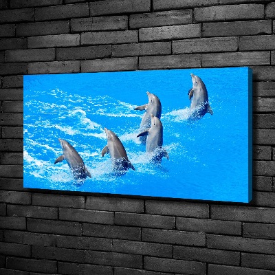 Foto quadro su tela Delfini