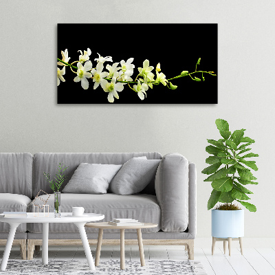 Quadro stampa su tela Orchidea