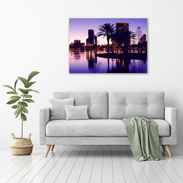 Quadro stampa su tela Orlando, USA