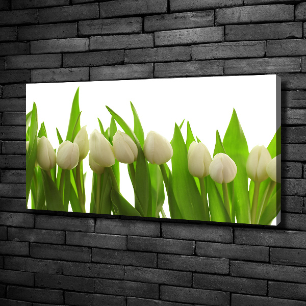 Foto quadro su tela Tulipani bianchi