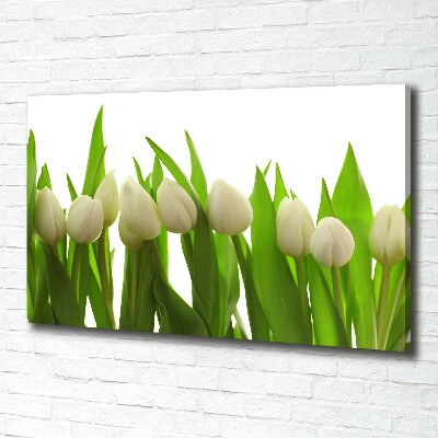 Foto quadro su tela Tulipani bianchi
