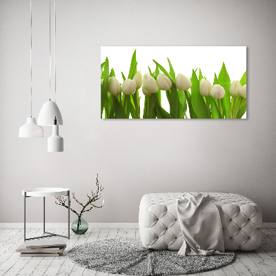Foto quadro su tela Tulipani bianchi