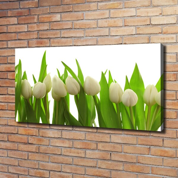 Foto quadro su tela Tulipani bianchi