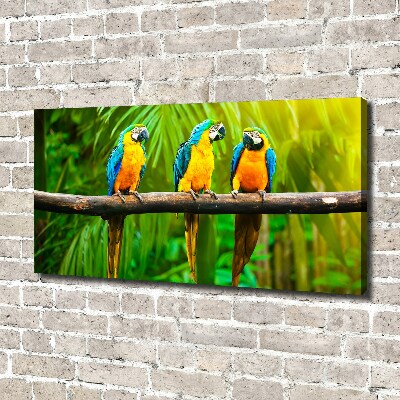 Quadro su tela Pappagalli su un ramo
