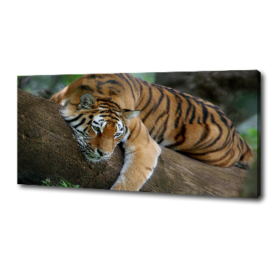 Foto quadro su tela Tigre su un albero