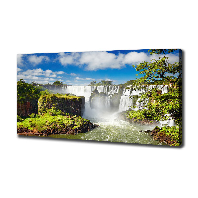 Quadro stampa su tela Cascata argentina