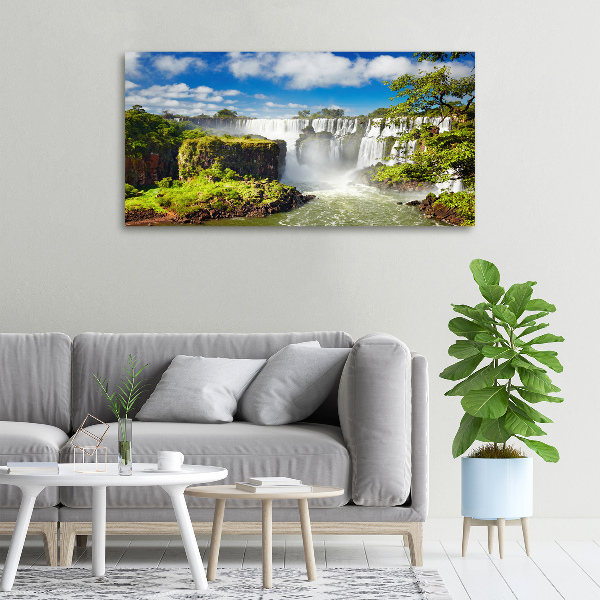 Quadro stampa su tela Cascata argentina