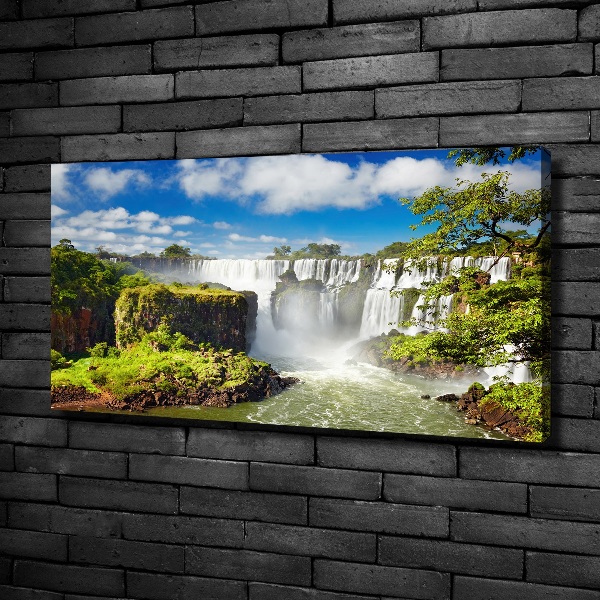 Quadro stampa su tela Cascata argentina