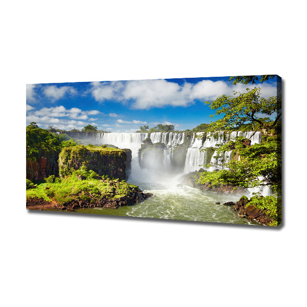Quadro stampa su tela Cascata argentina