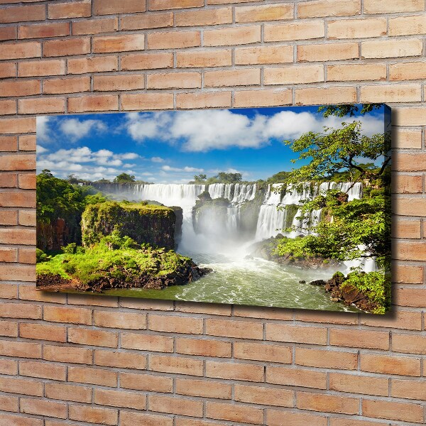 Quadro stampa su tela Cascata argentina