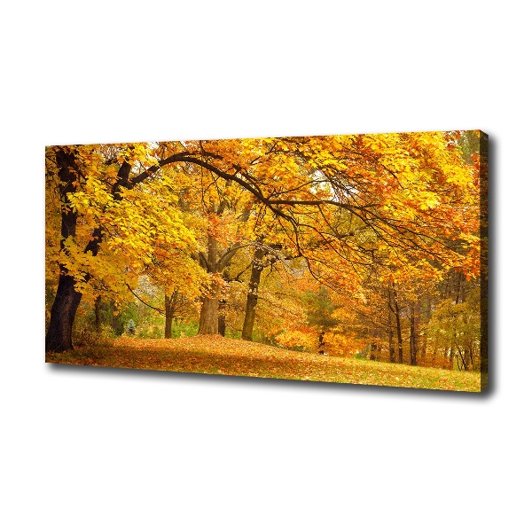 Quadro su tela Autunno al parco