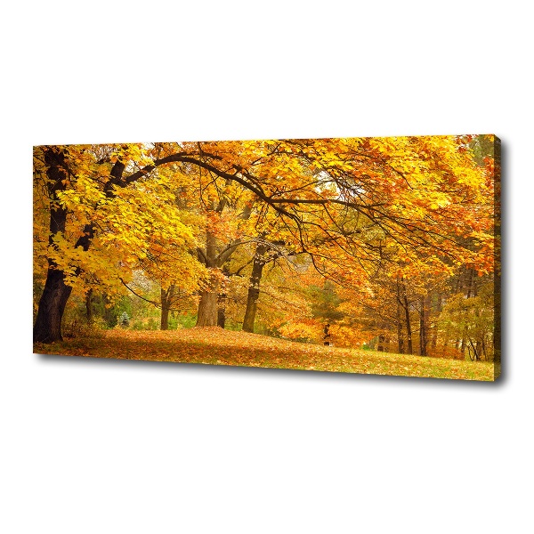 Quadro su tela Autunno al parco