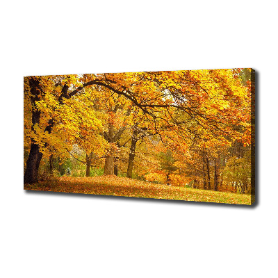Quadro su tela Autunno al parco