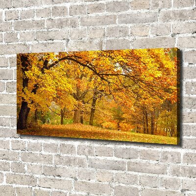 Quadro su tela Autunno al parco