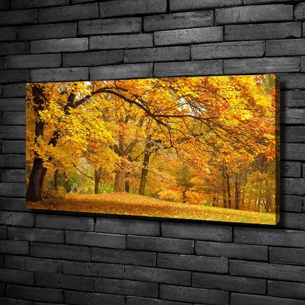 Quadro su tela Autunno al parco