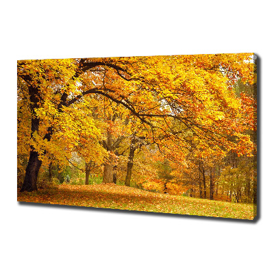 Quadro su tela Autunno al parco