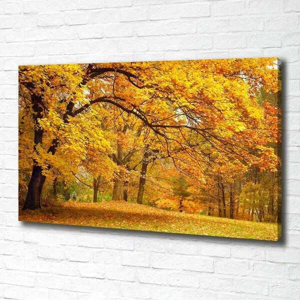 Quadro su tela Autunno al parco