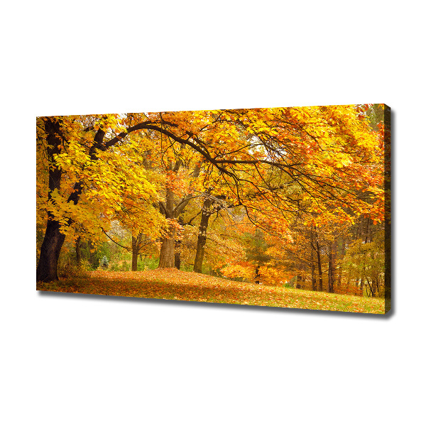 Quadro su tela Autunno al parco