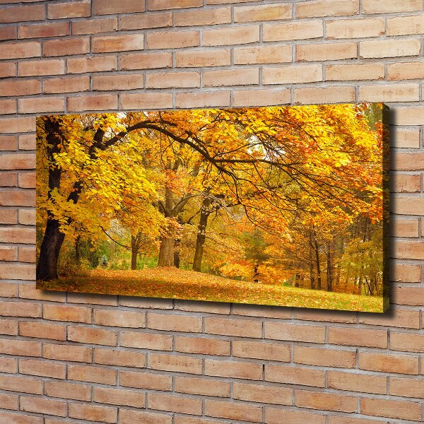 Quadro su tela Autunno al parco