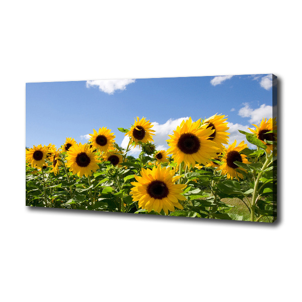 Quadro su tela Girasoli