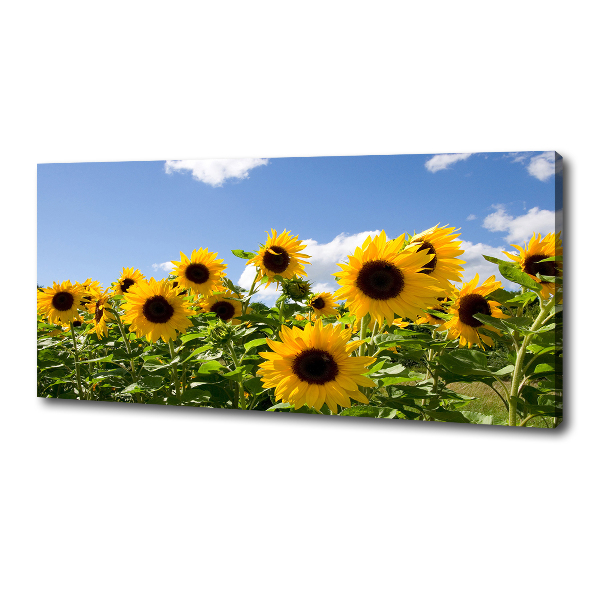 Quadro su tela Girasoli