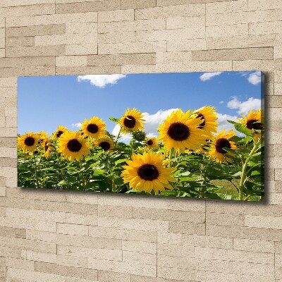 Quadro su tela Girasoli