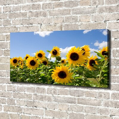 Quadro su tela Girasoli
