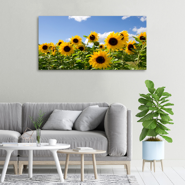 Quadro su tela Girasoli