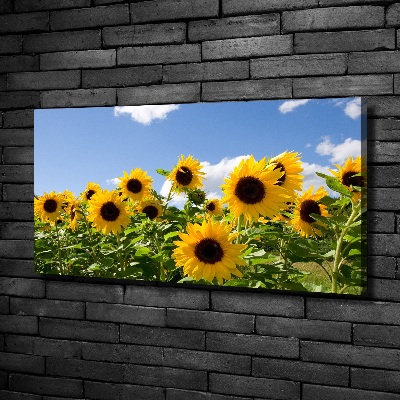 Quadro su tela Girasoli